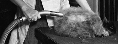 angora_vacuum angora_vacuum