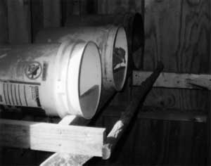 chicken_nestbox chicken_nestbox