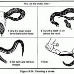 Basic Survival Food Preparation & Cooking Techniques Featured