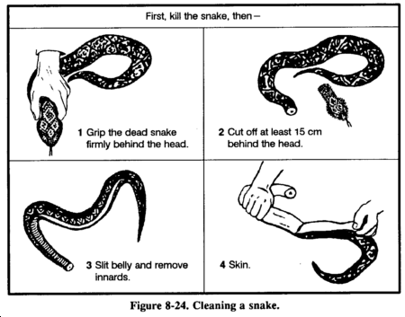 fig8-24_cleansnake