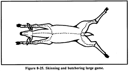 fig8-25_dresslarge