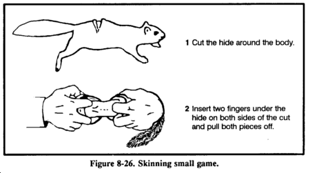 fig8-26_dresssmall