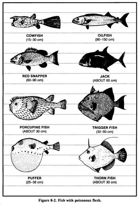 fig8-2_fish