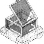 Catch More Fish; Building a Feeder System Featured