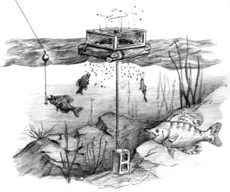 floating_feeder_box_2