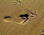 Basic Tracking Techniques: People