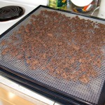 Dehydrated Hamburger “Rocks” for Long Term Meat Storage Featured