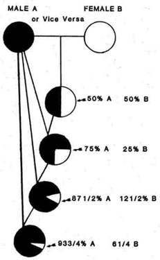 line_breeding