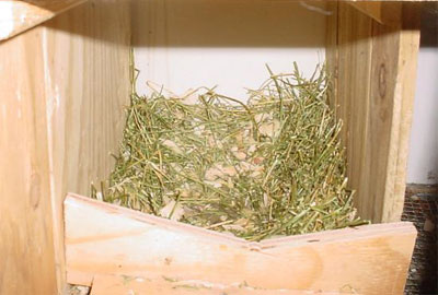 nesting_box2