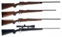 Firearms Guide for the Versatile & Responsible Homesteader