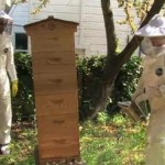Is the City the Future for Honeybees? America’s Only Urban Beekeeping Store Owner Thinks So Featured
